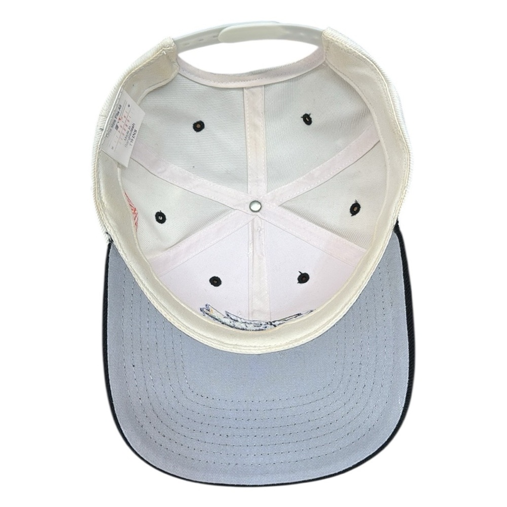 Rare Twins Enterprises 1998 Tampa Bay Devil Rays Inaugural Season Snapback Hat - Picture 11 of 13